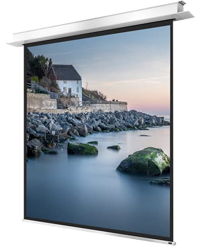 celexon motorisierte Heimkino- und Business-Beamer-Leinwand mit